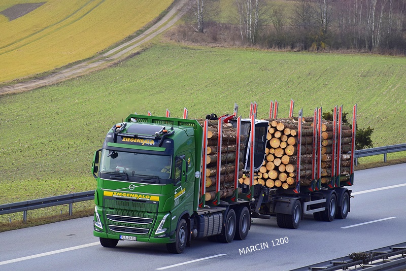 _DSC9634-crop-Ziegenbalg-VOLVO FH V.JPG
