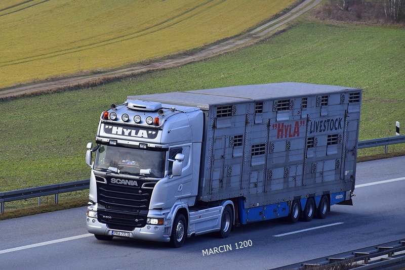 _DSC9526-crop-HYLA LIVESTOCK-SCANIA R500 V8.JPG