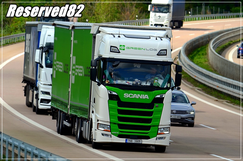 DSC_4923.JPG Green log.JPG