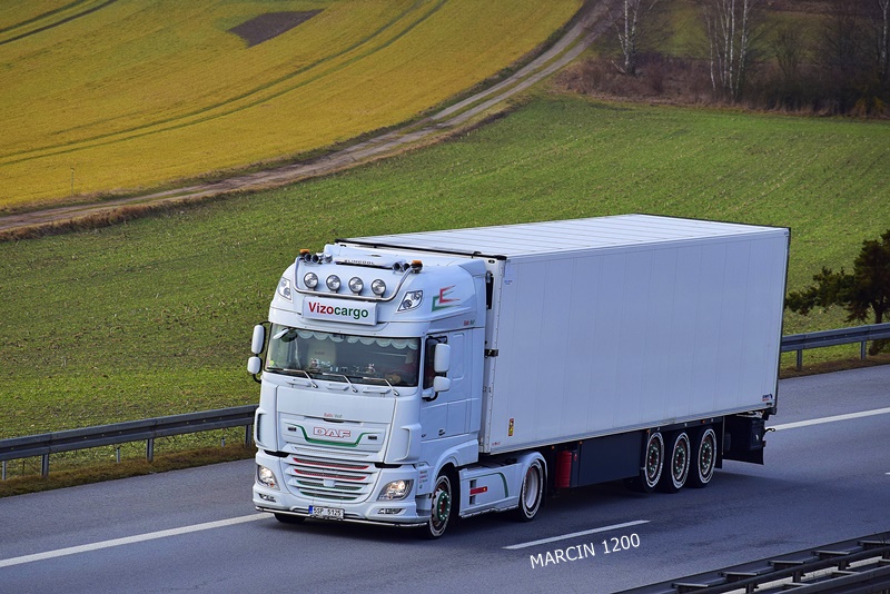 _DSC9564-crop-Vizocargo -DAF XF 106 II.JPG