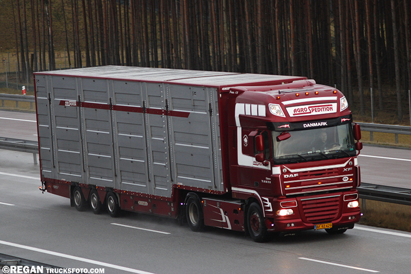 DAF XF105 - Agro Spedition.jpg