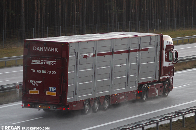 DAF XF105 - AgroSpedition.jpg