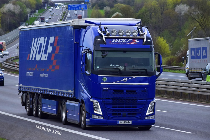 _DSC1166-crop-Wolf-VOLVO FH IV.JPG