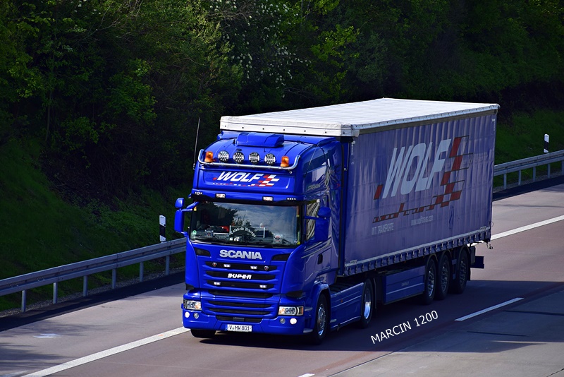 _DSC1447 WOLF-crop-SCANIA R.JPG