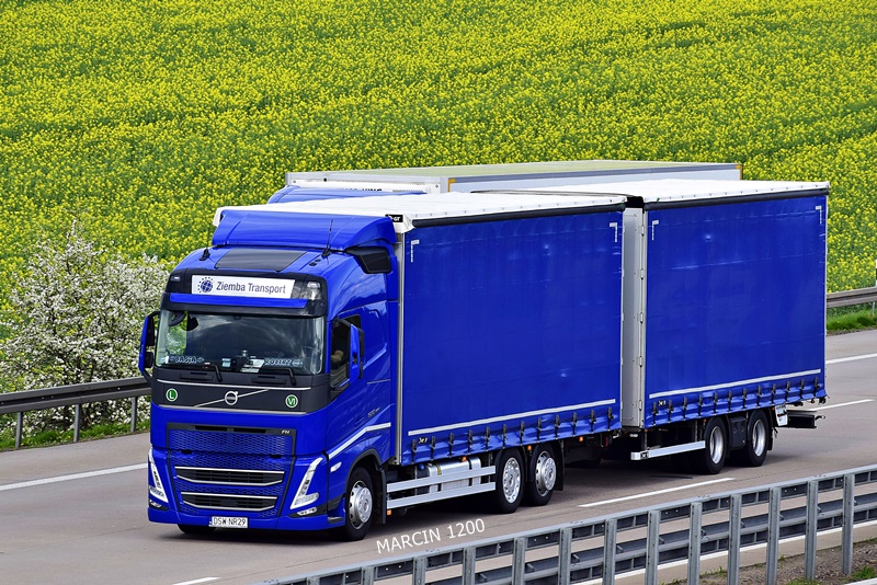 _DSC2408-crop-Ziemba Transport-VOLVO FH V - GNIOTPOL.JPG