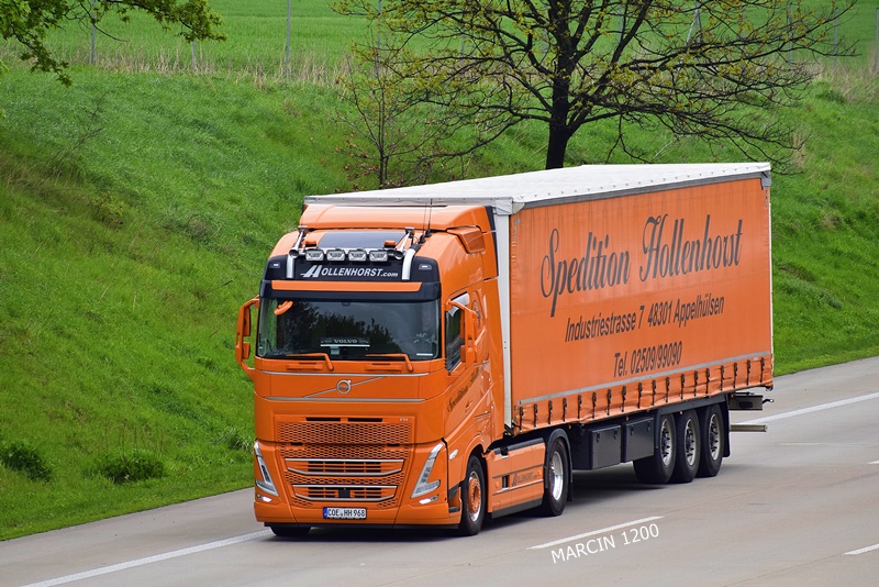 _DSC1295 HOLLENHORST-crop-VOLVO FH V.JPG