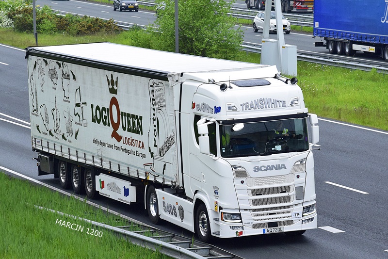_DSC4190-crop-Scania S540 NG-TRANSWHITE.JPG