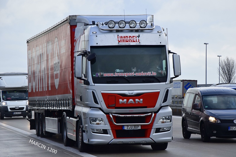 _DSC6772-crop-Umbreit-MAN TGX.JPG