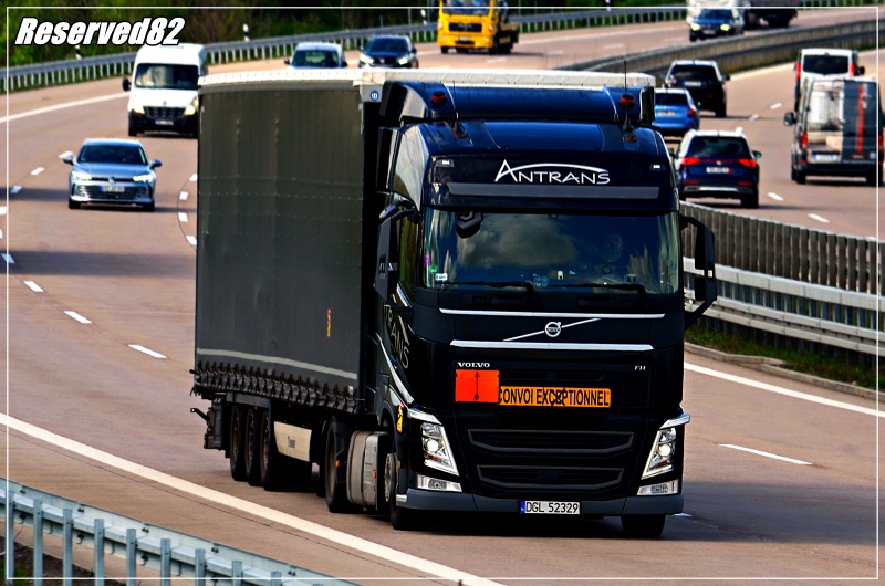 DSC_5091.JPG Antrans (D).JPG