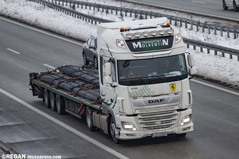 DAF XF - Molkentin.jpg