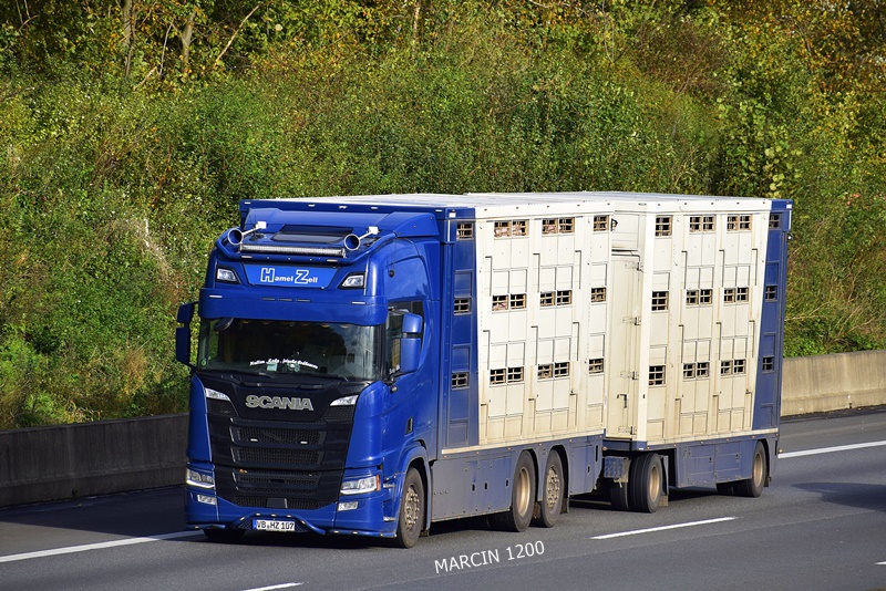 _DSC8012-crop-Hamel Zell-SCANIA R NG.JPG