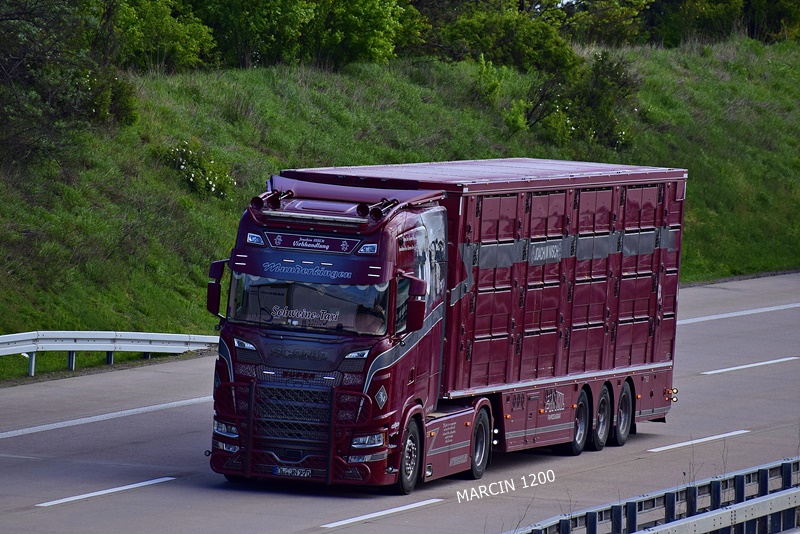 _DSC2686 NISCH-crop-SCANIA R NG.JPG