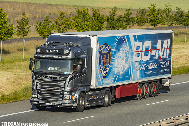 Scania R Streamline - Bomi Bo-mi.jpg