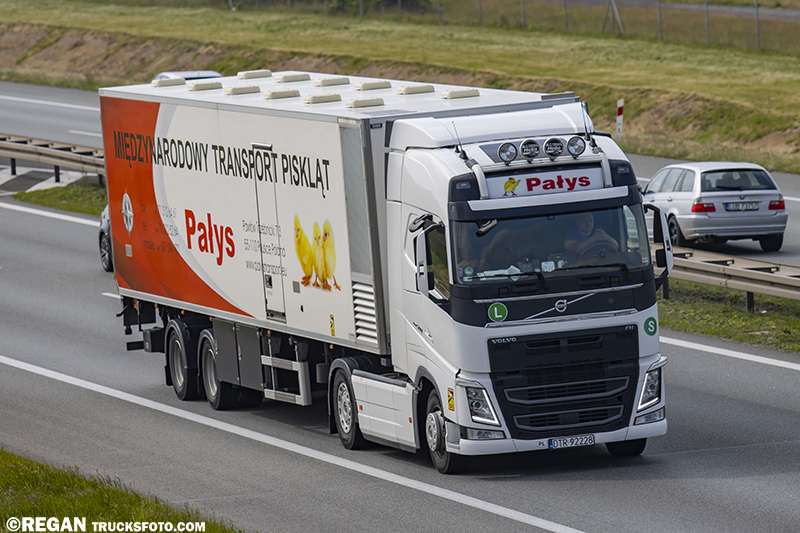 Volvo FH4 - Pałys.jpg