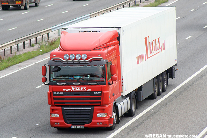 DAF XF105 - Vegex.jpg