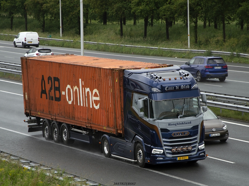 DSC_0734kopia tf.jpg