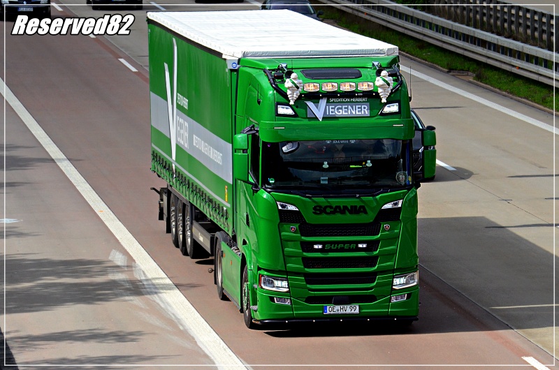 DSC_1342.JPG viegener.JPG