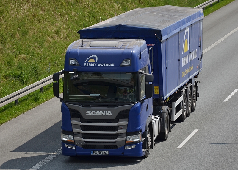 fermy woźniak 3.JPG