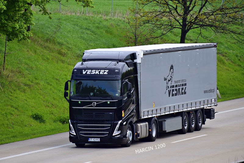 _DSC1363 VESKEZ-crop-VOLVO FH V.JPG