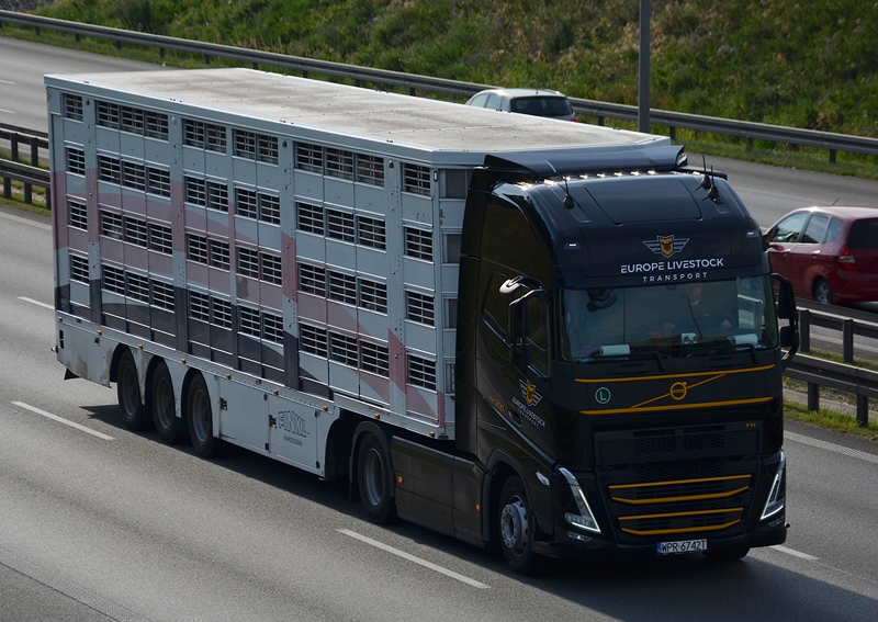 europe livestock 1.JPG