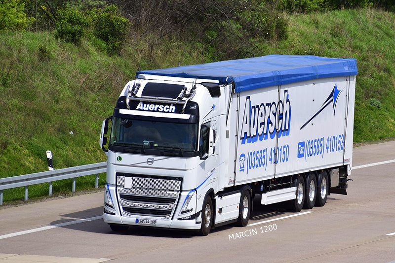 _DSC1918 AUERSCH-crop-VOLVO FH V.JPG