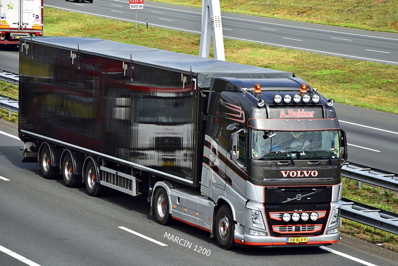_DSC9234-crop-A. Bakker-VOLVO FH IV.JPG
