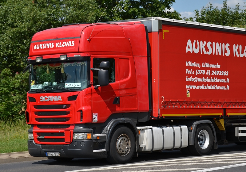 auksinis klevas 1.JPG