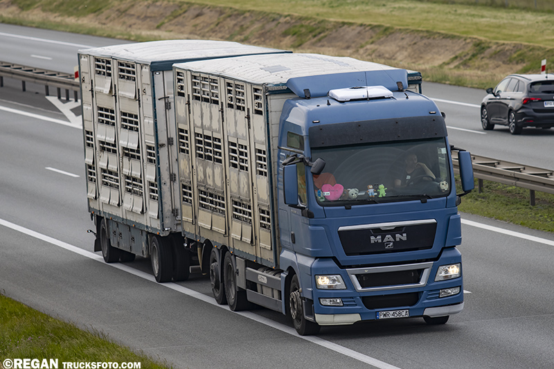 MAN TGX - Krause.jpg