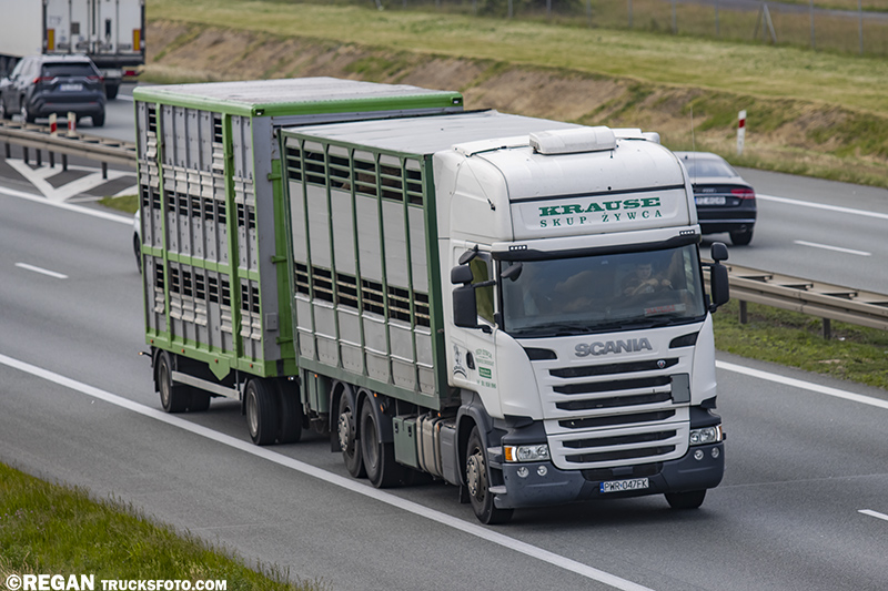 Scania R Streamline - Skup Żywca Krause.jpg