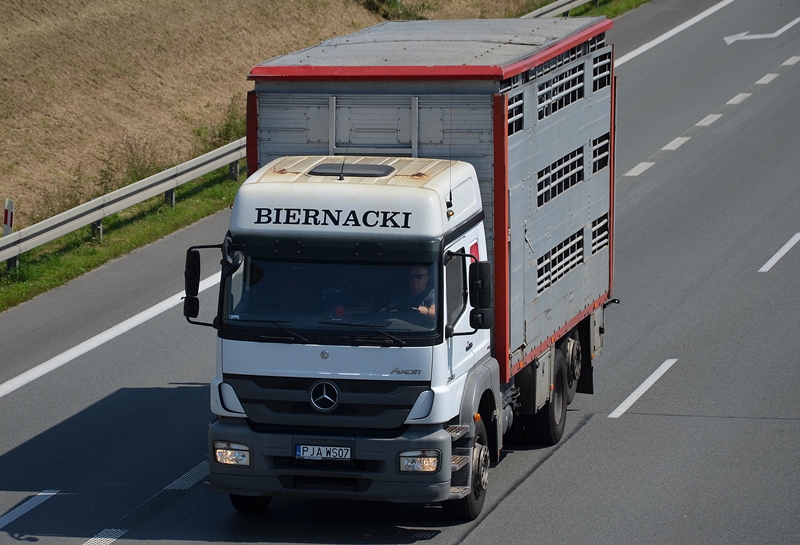 biernacki 2.JPG