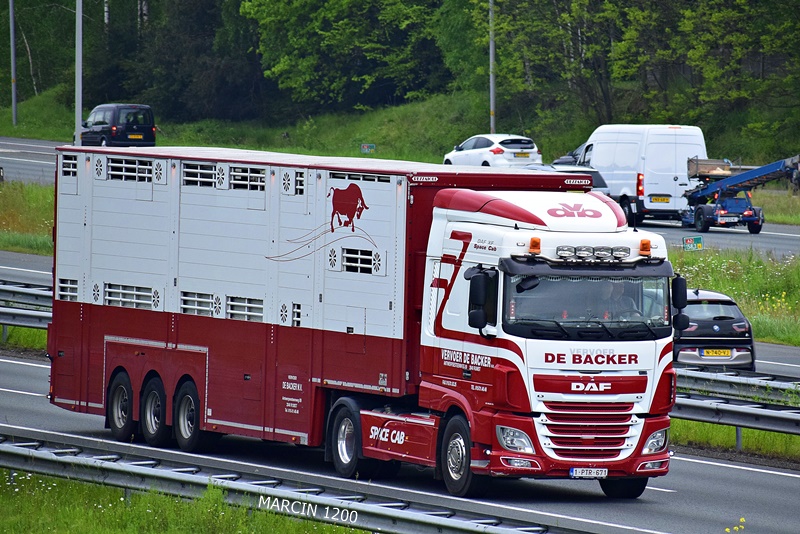 _DSC4042-crop-Vervoer De Backer-DAF XF 106.JPG