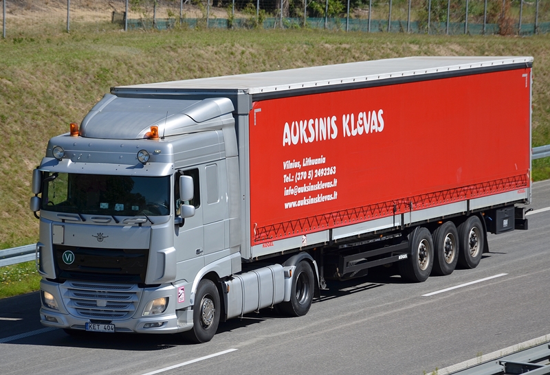 auksinis klevas 3.JPG