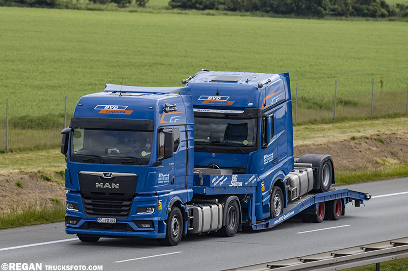 MAN TGX - BVD.jpg