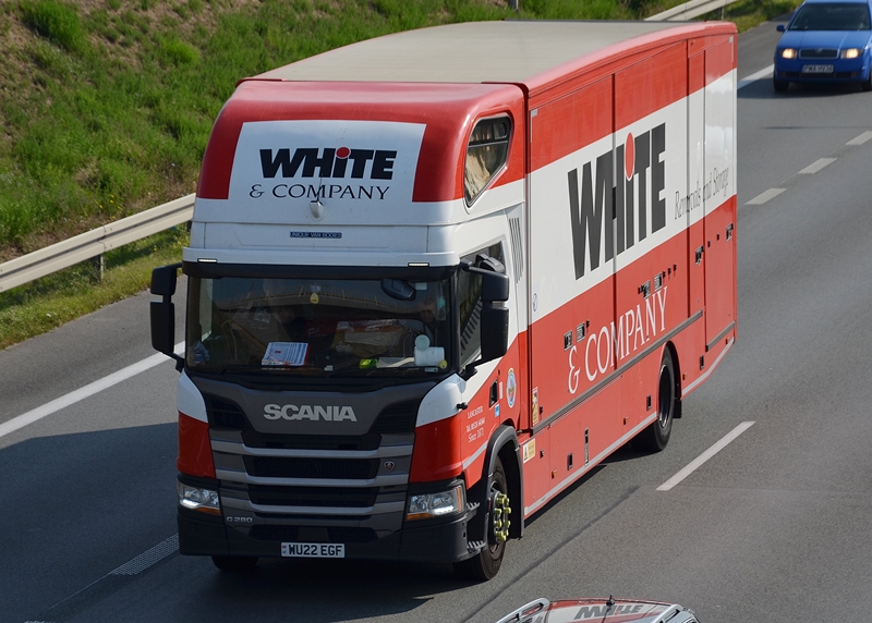 white & company 1.JPG