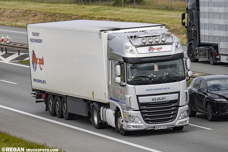 DAF XF - Agropol.jpg