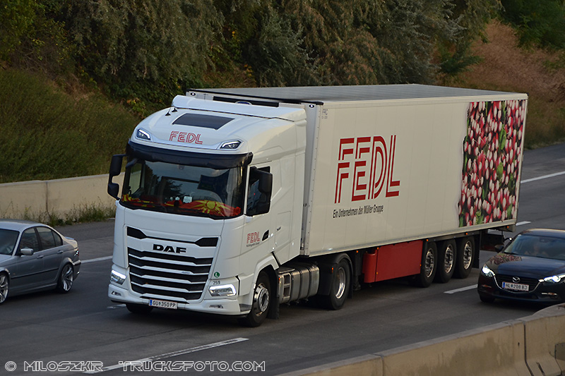Daf XG_Fedl_0761.JPG