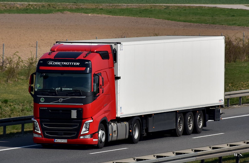 Elmir_Volvo_FH4_PL_3.jpg
