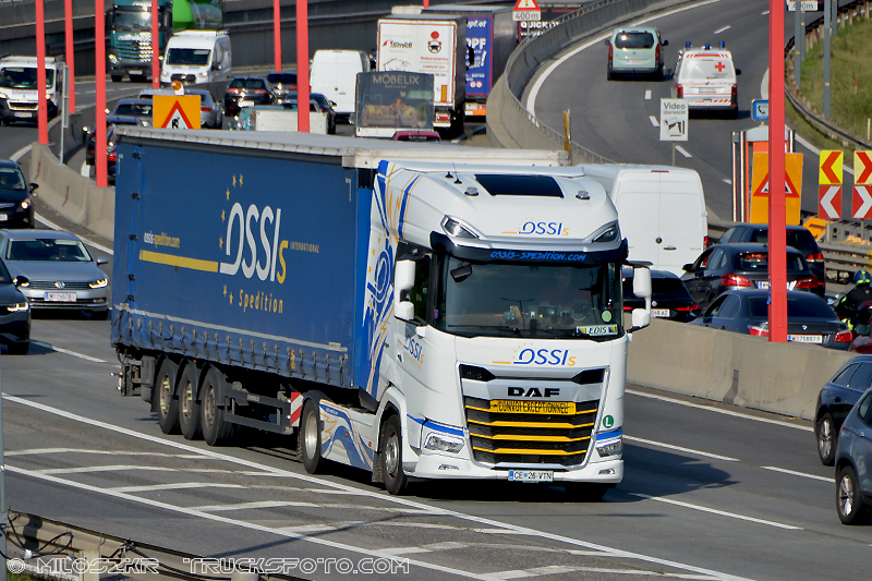 Daf XG_Ossis_2167.JPG