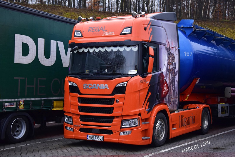 _DSC0036-crop-REGAL-SCANIA R450 NG-HUSARIA.JPG