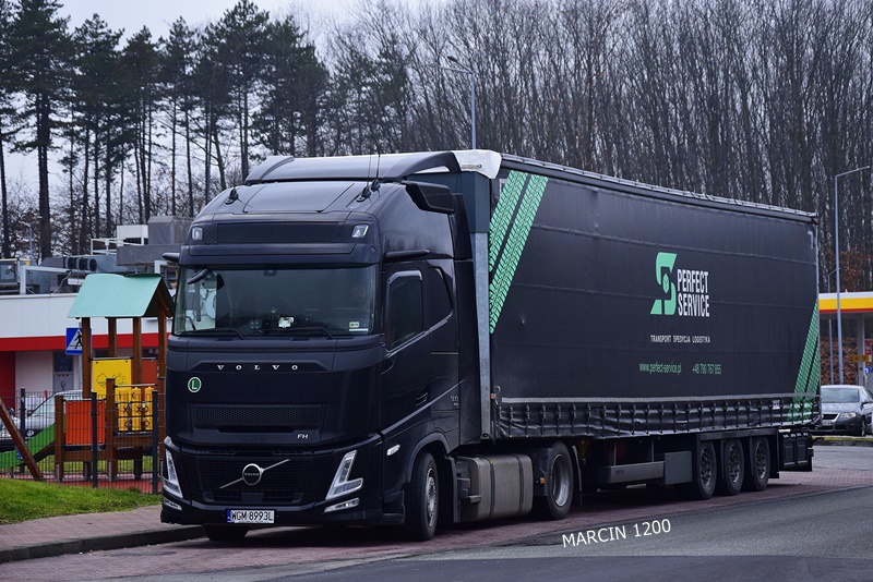 _DSC0047-crop-Perfect Service-VOLVO FH AERO.JPG
