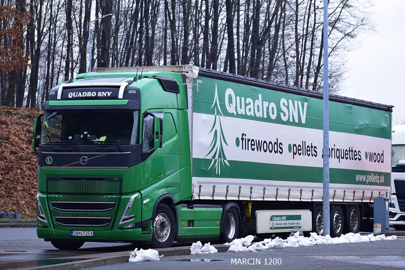 _DSC0035-crop-Quadro SNV-VOLVO FH V.JPG