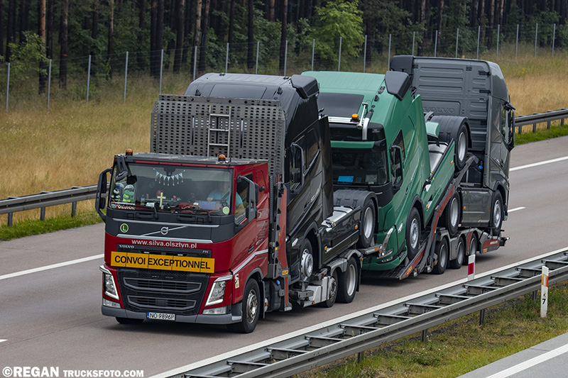 Volvo FH - Silva Olsztyn.jpg