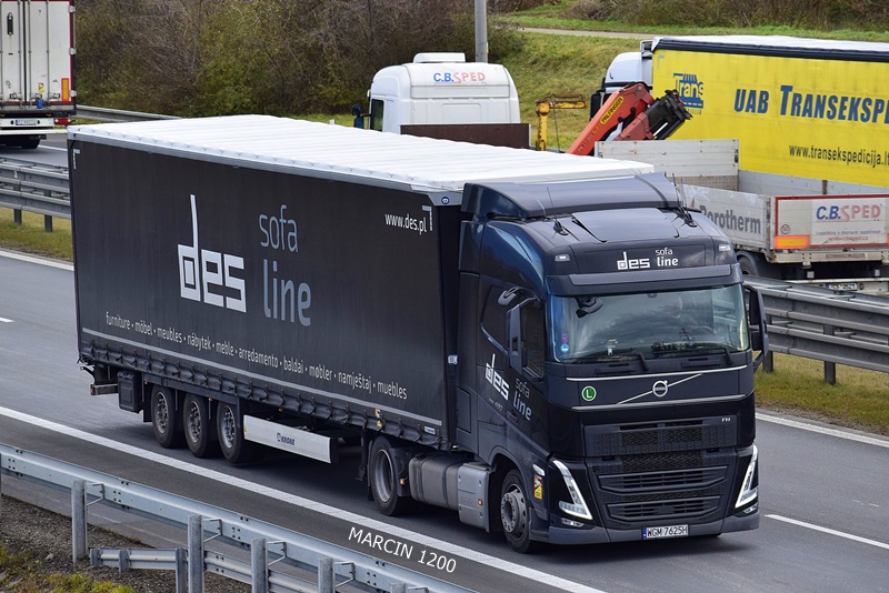 _DSC0165 DES-crop-VOLVO FH V.JPG