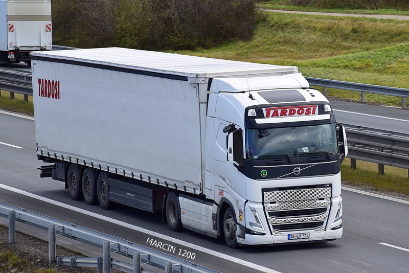 _DSC0175 TARDOSI-crop-VOLVO FH V.JPG