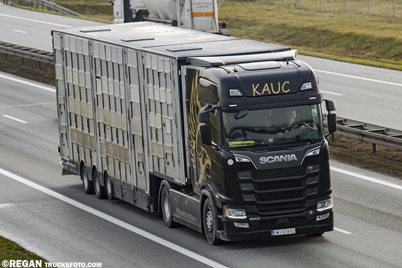 Scania 650S - Kauc.jpg