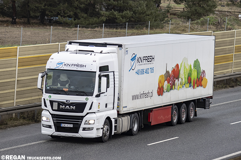 MAN TGX - KN Fresh.jpg