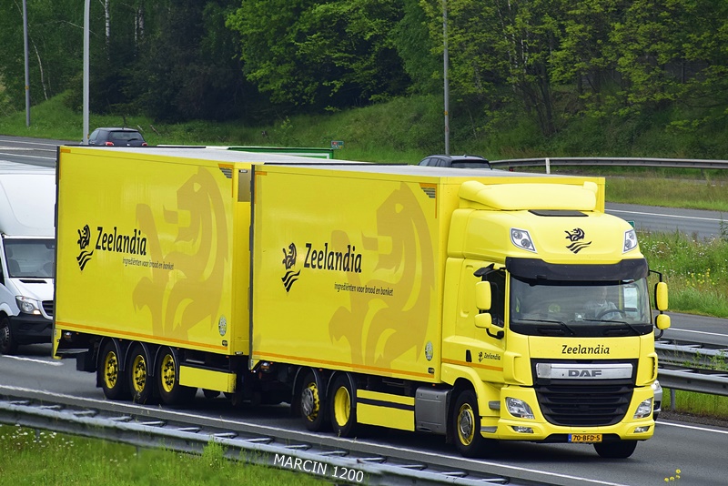 _DSC3796-crop-Zeelandia-DAF CF -TRIDEM.JPG
