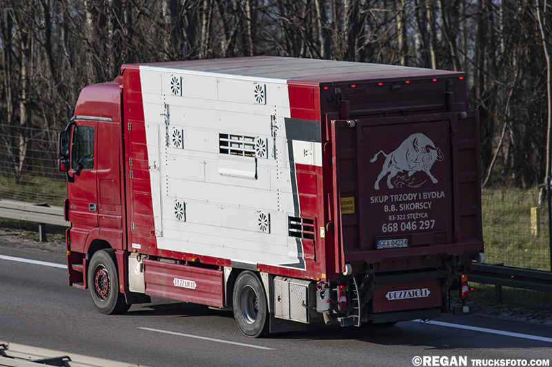 Mercedes-Benz Actros - Sikorscy.jpg