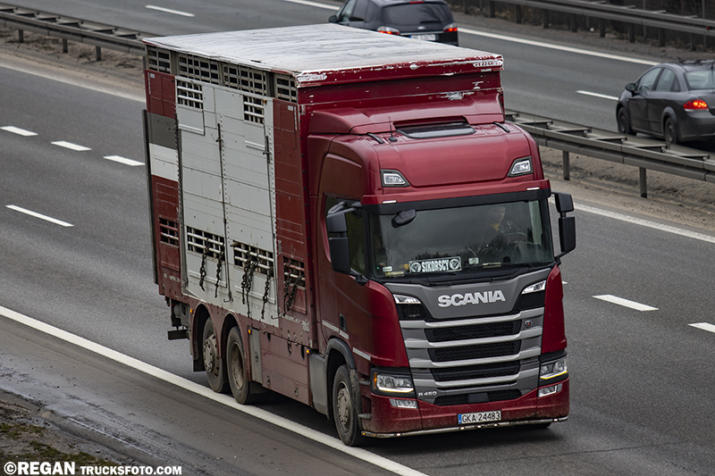 Scania R450 - Sikorscy.jpg