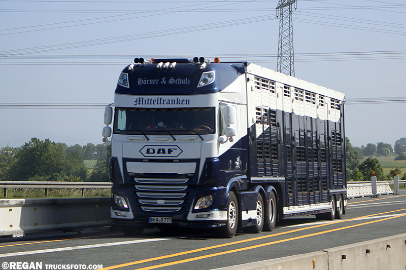 DAF XF - Horner & Schulz Mittelfranken.jpg